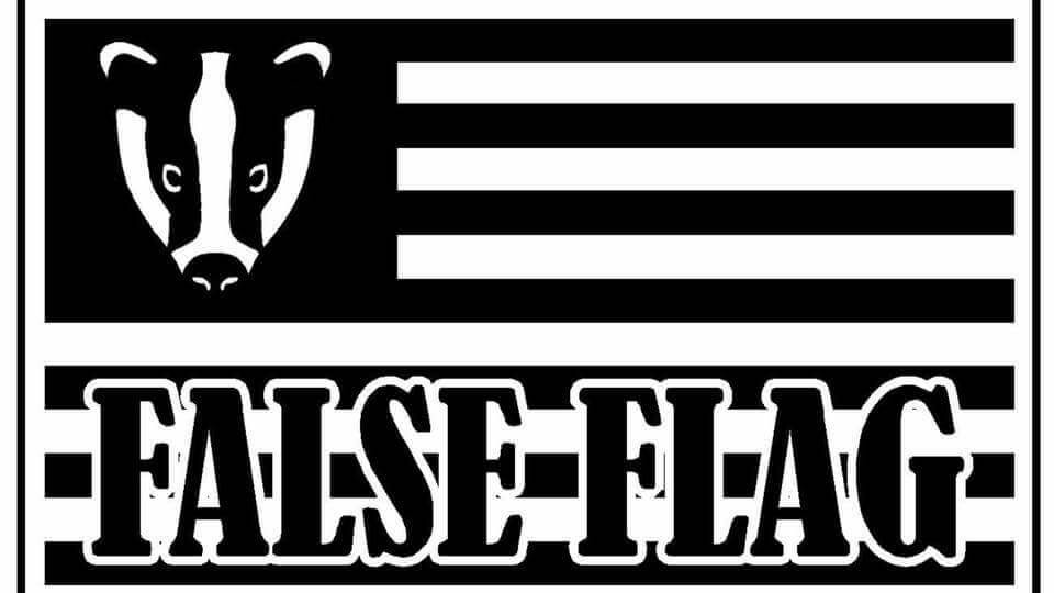 Badger 008.jpg