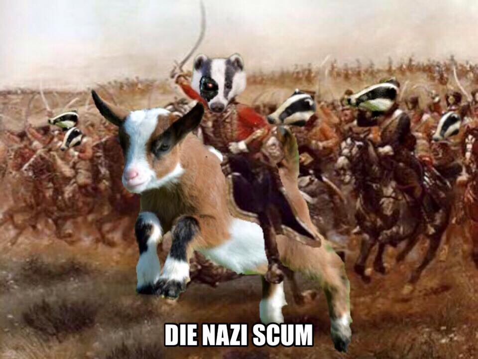 Badger 015.jpg