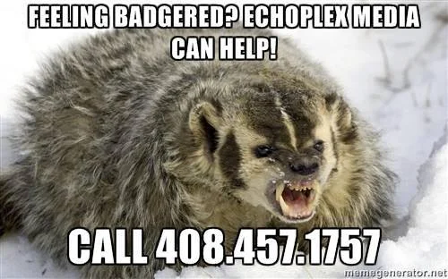 Badger 024.jpg