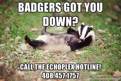 Badger 028.jpg
