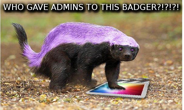 Badger 033.jpg