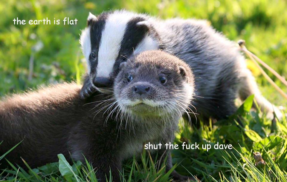 Badger 045.jpg