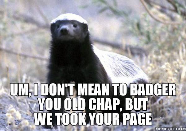 Badger 051.jpg