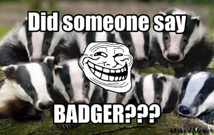 Badger 058.jpg