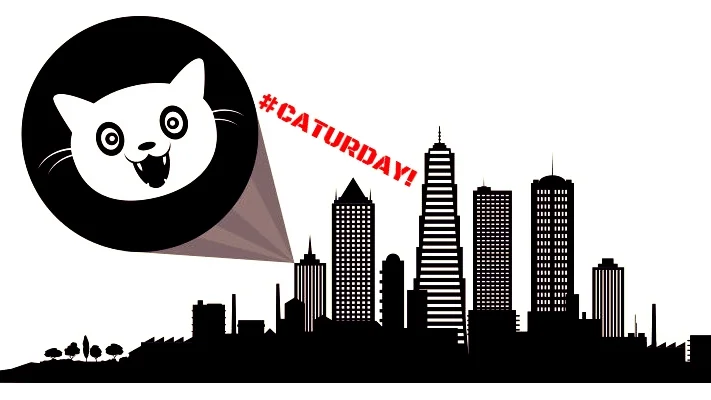 Operation #Caturday April 21st 2018