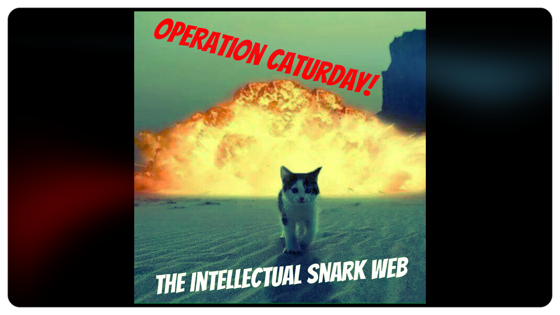 Operation #Caturday July 28th -- The Intellectual Snark Web