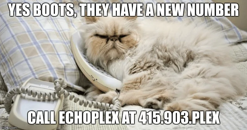plex cat new phone number.jpg