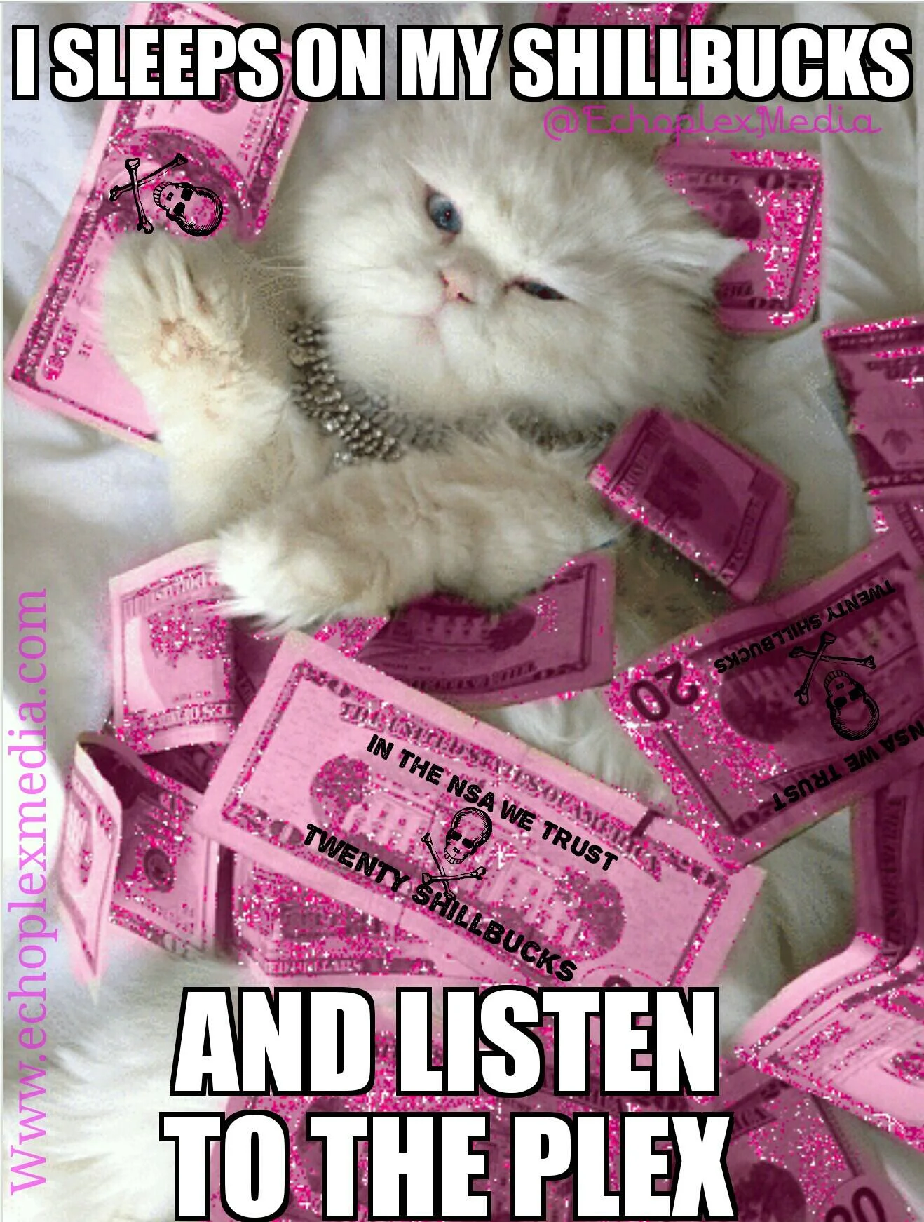 shillbucks kitty plex.jpg