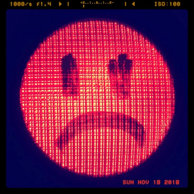 sad red light.jpg