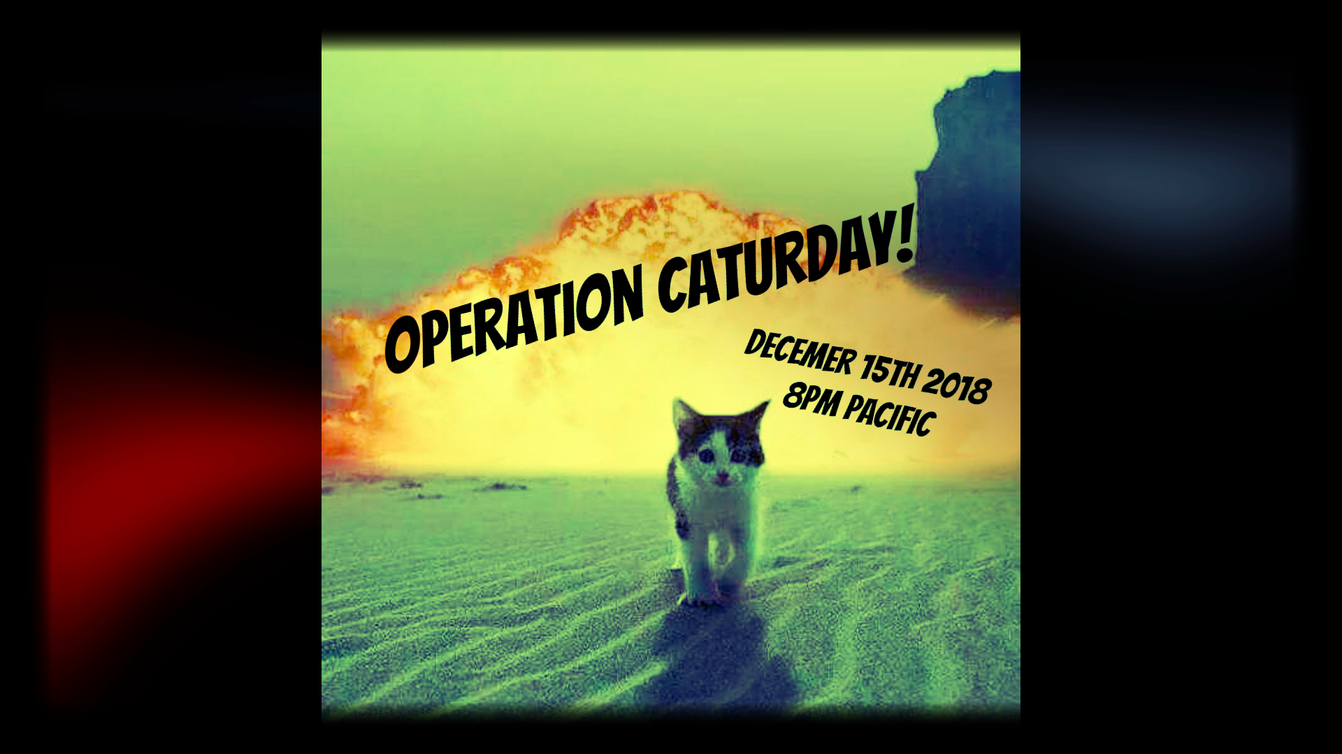 Operation Caturday December 15th 2018