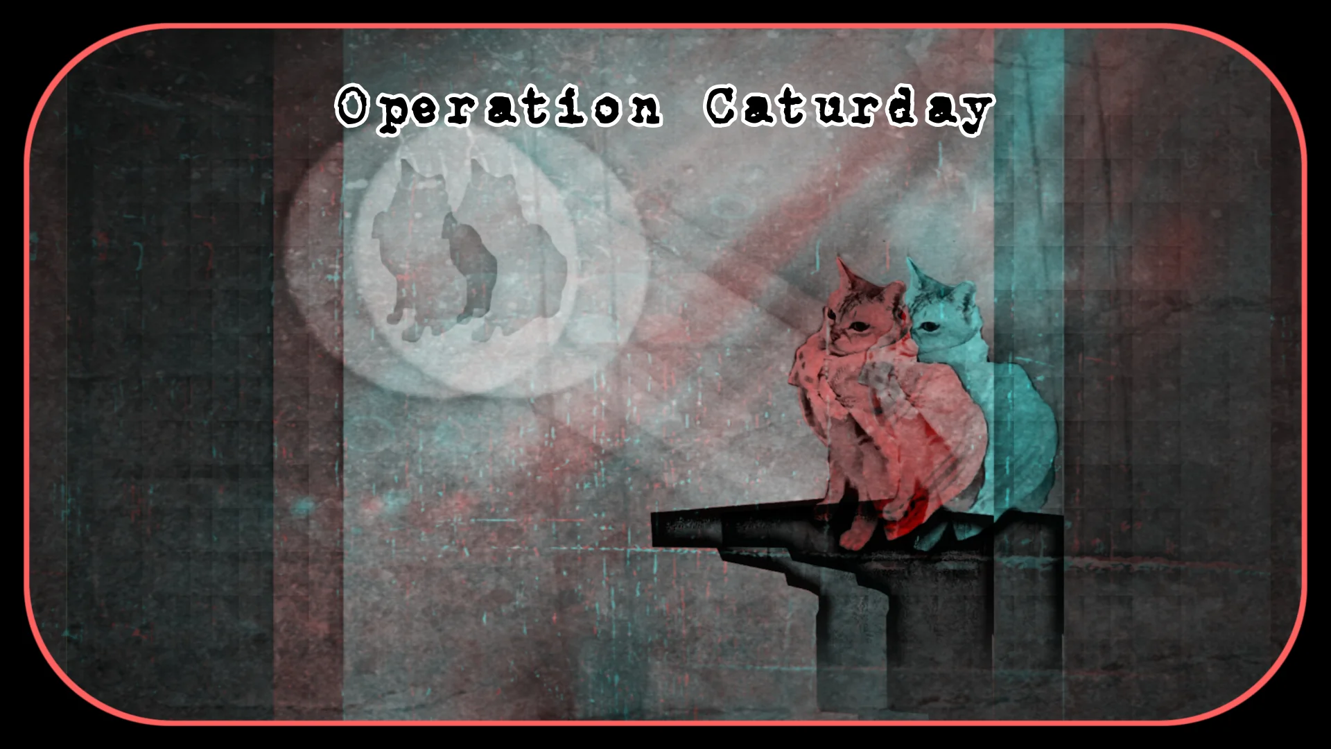 Operation Caturday May 18 2019
