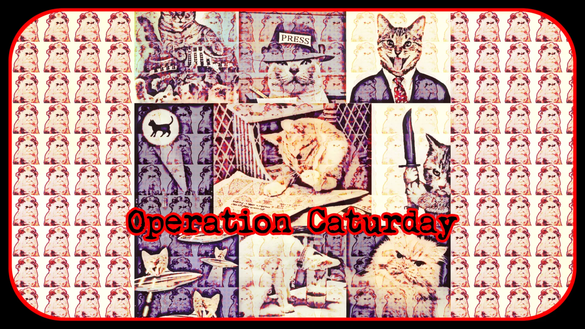 Operation Caturday June 15 2019 8PM PT