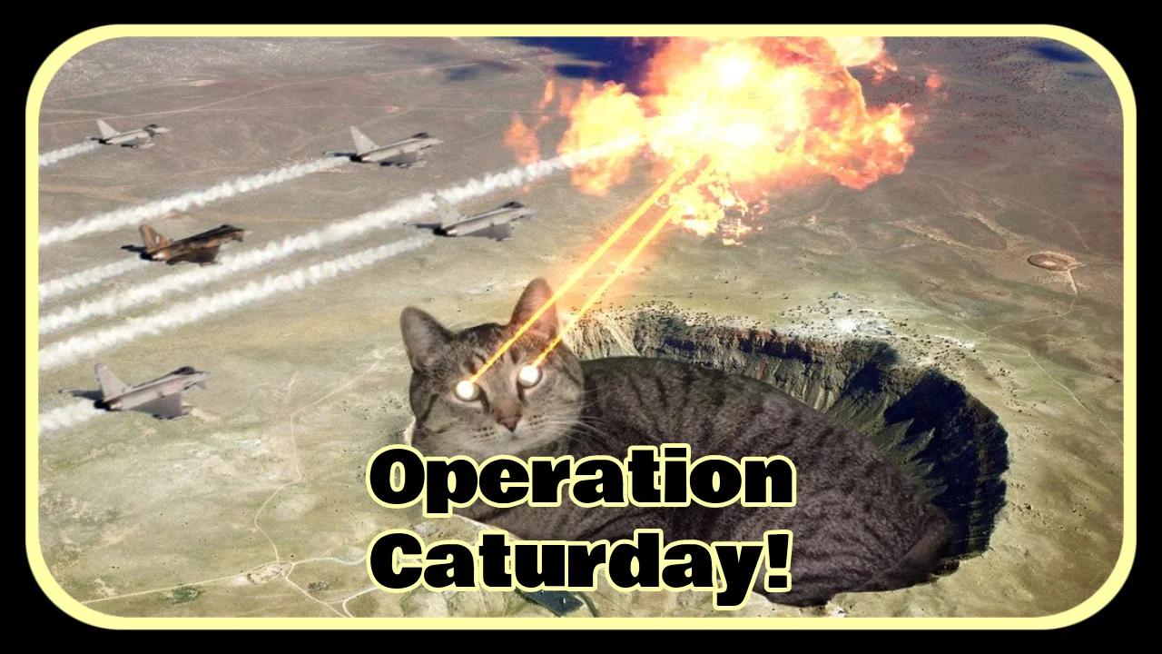 Operation Caturday August 17 2019 8PM PT