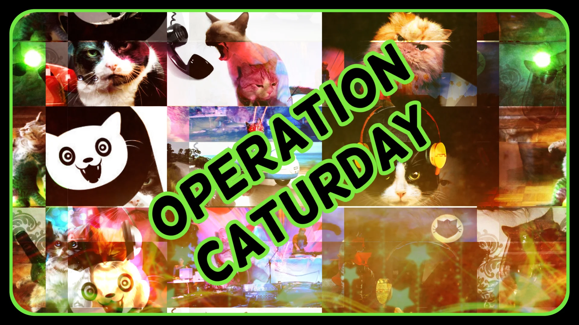 Operation Caturday September 21 2019 8PM PT