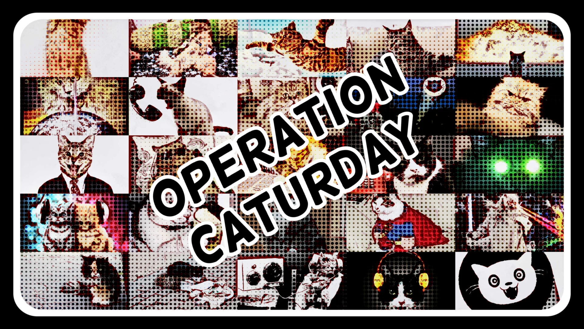 Operation Caturday October 19th 2019 8PM PT