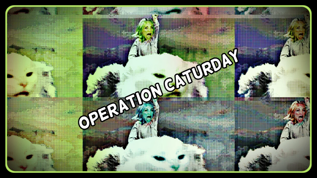 Operation Caturday 11-16-2019 8PM PT