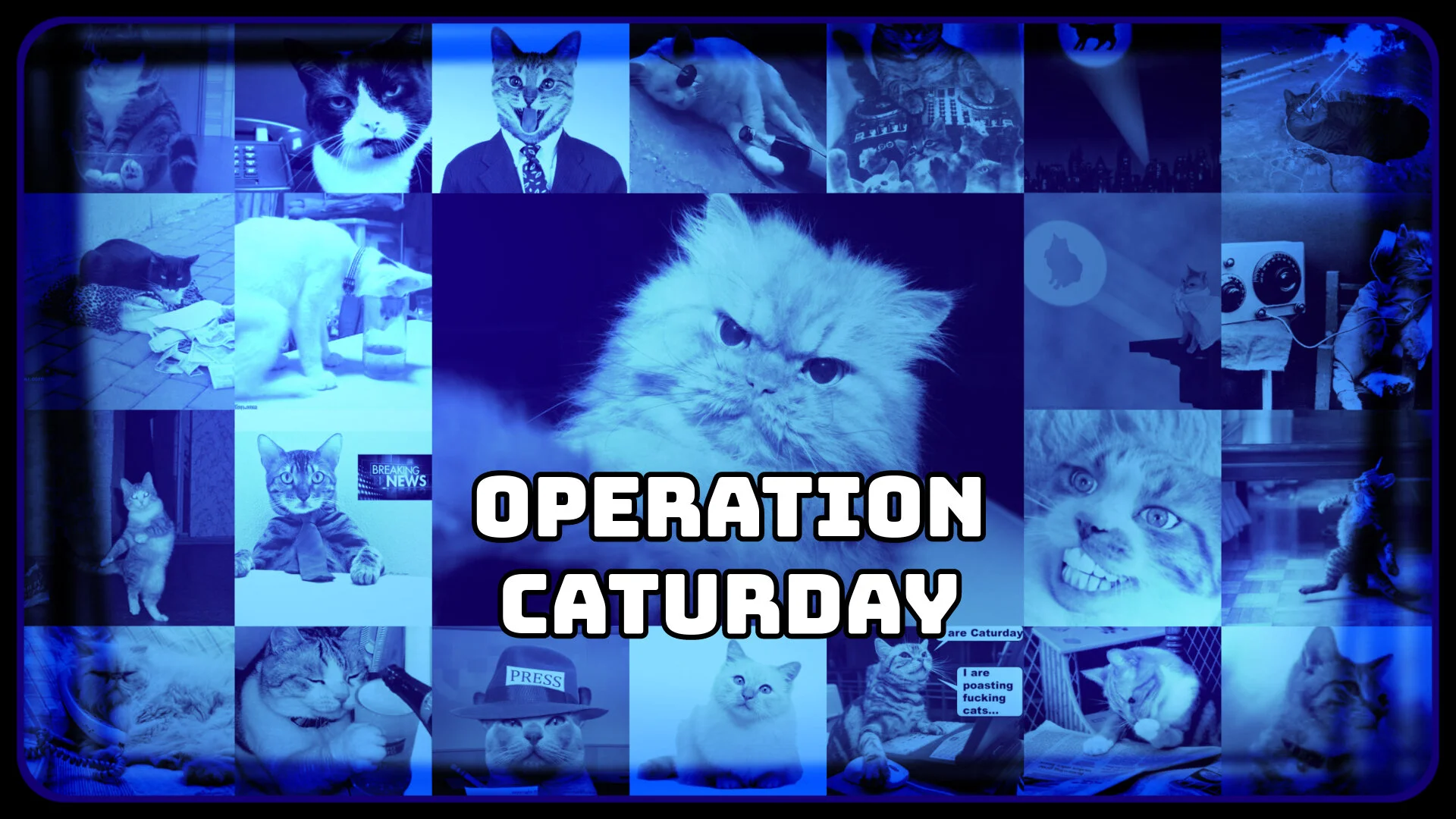 Operation Caturday 2-15-2020 