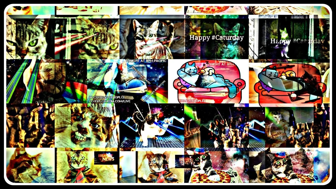 Operation Caturday 7-18-2020