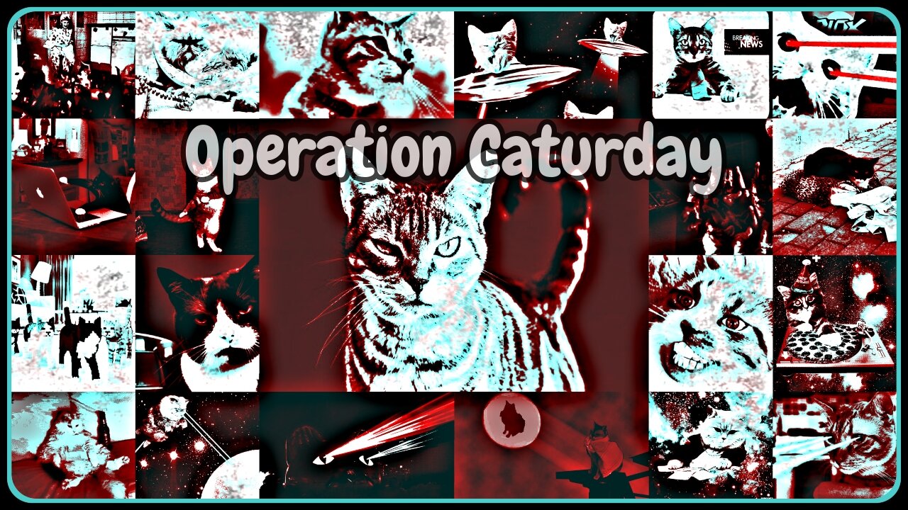 Operation Caturday 8-15-2020