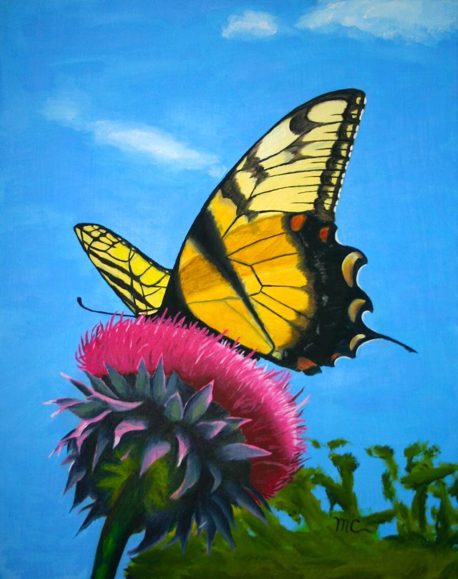 butterfly_on_thistle_by_macourtney_d5gq00p-fullview.jpg