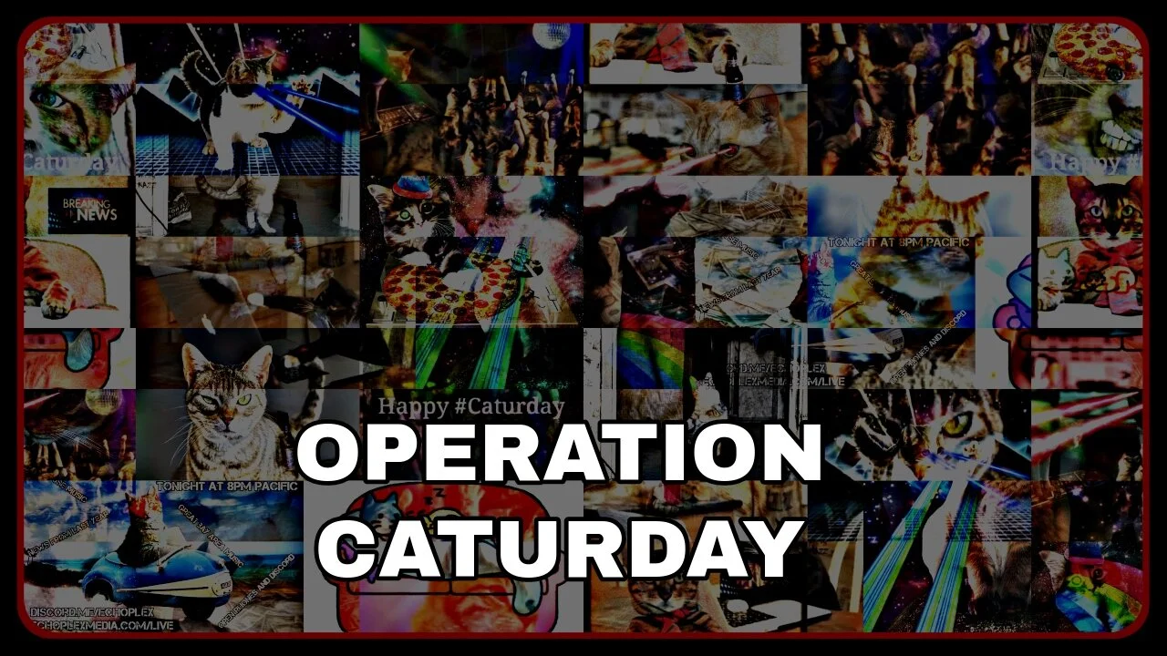 Operation Caturday 11-21-2020