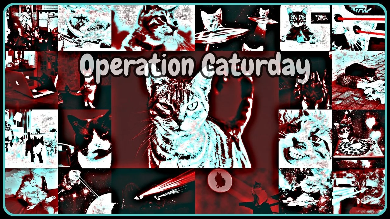 Operation Caturday 2-20-2021