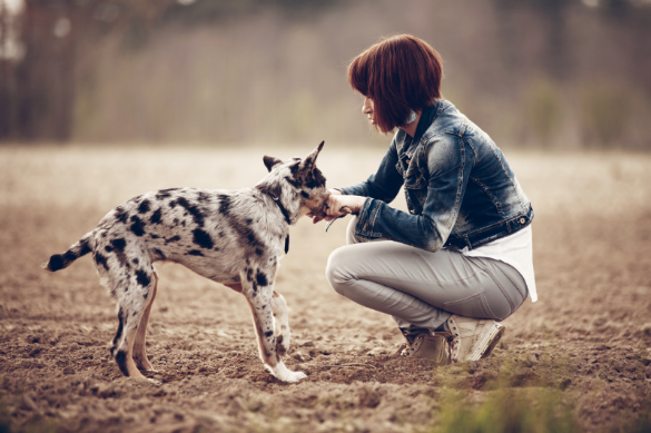 Photo By Daniel Nanescu
