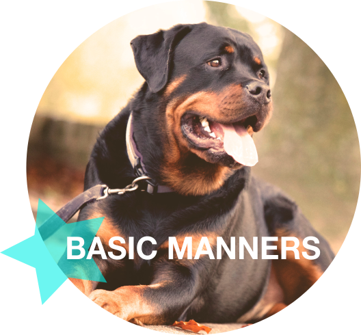 Basic Manners.png