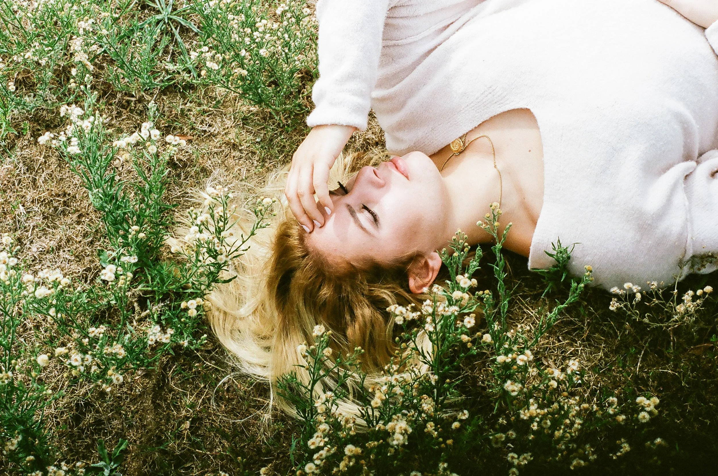 sp-film-2.jpg