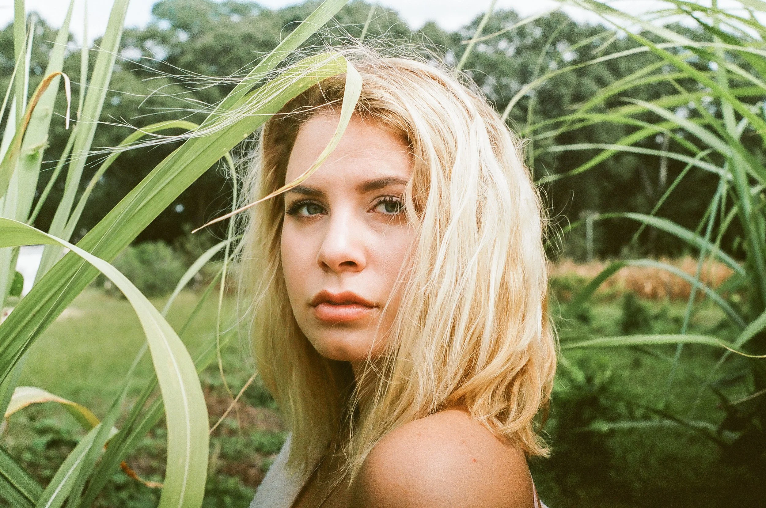 sp-film-5.jpg