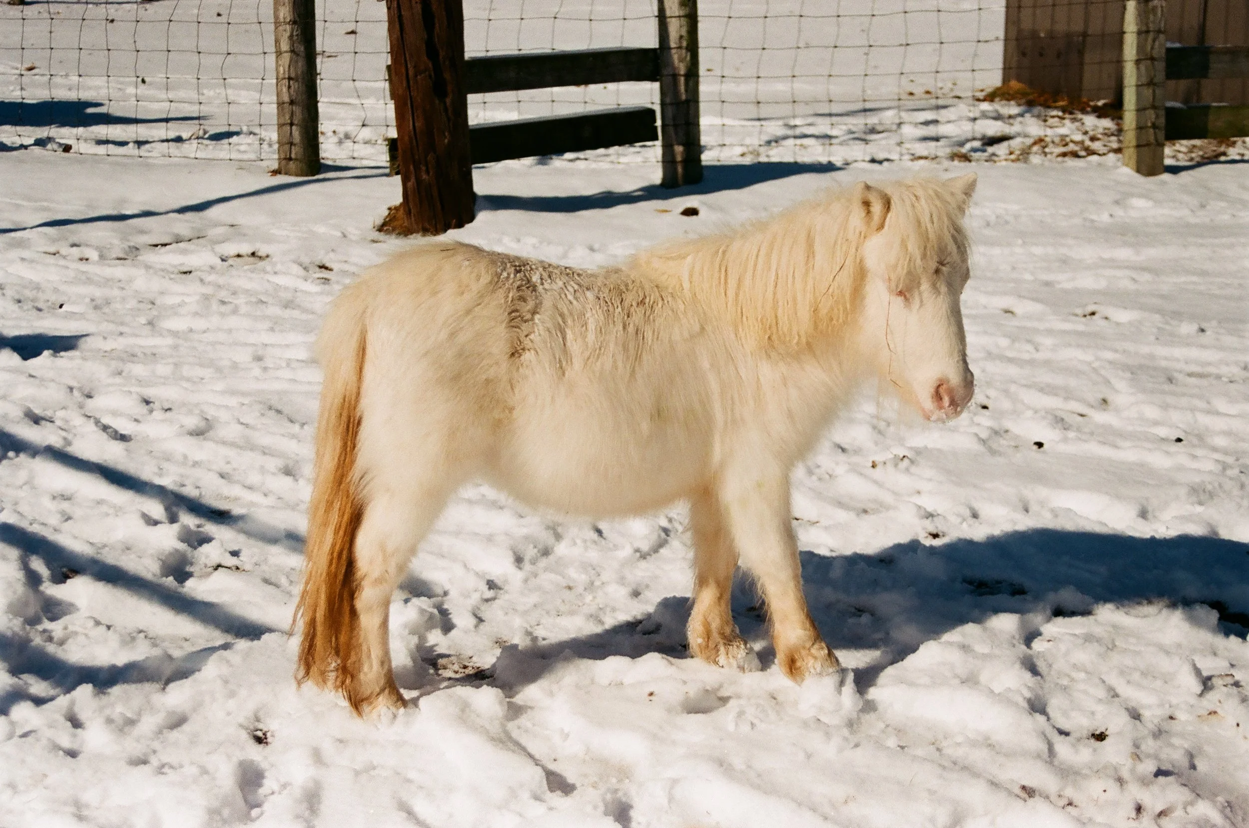 sp-film-53.jpg