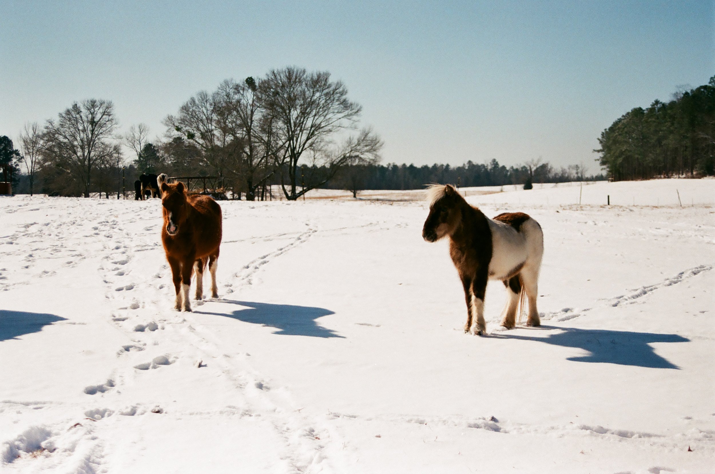 sp-film-54.jpg