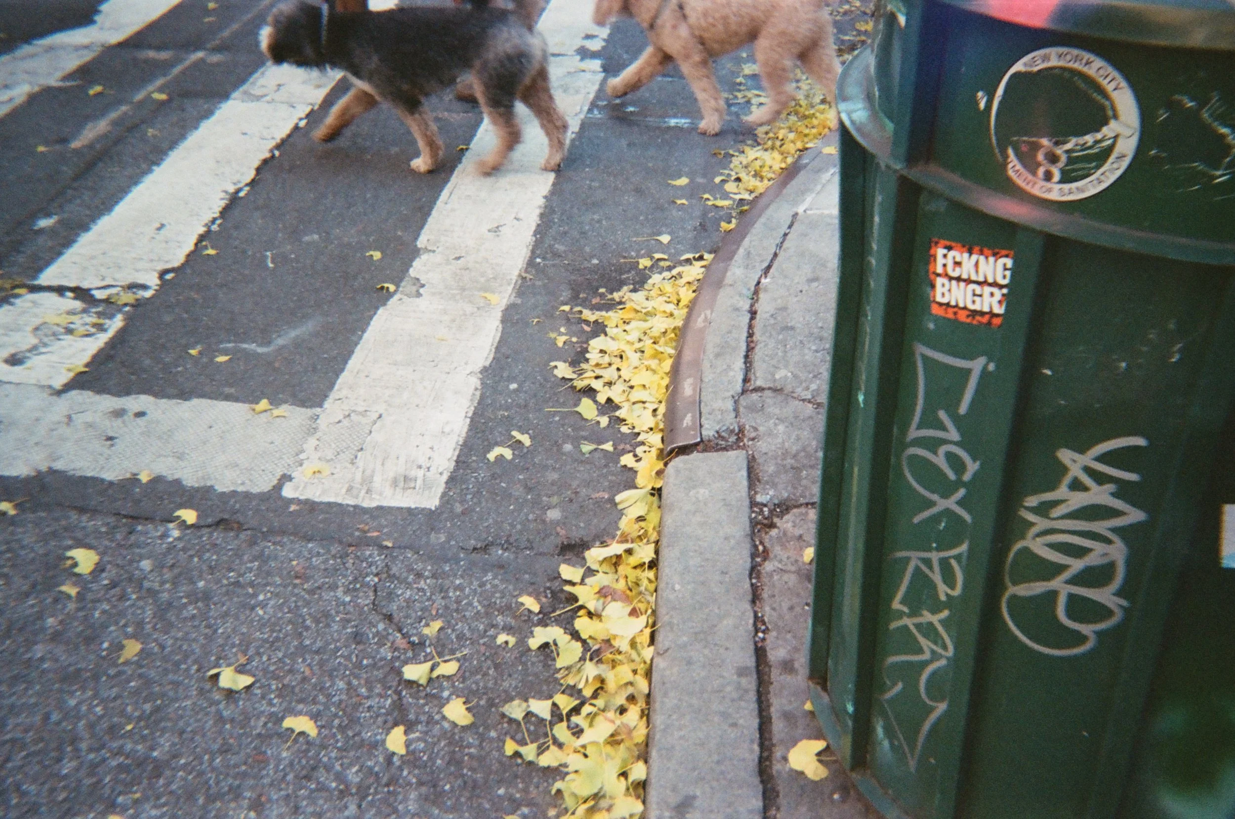 sp-film-61.jpg