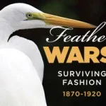 Feather-Wars-Image-150x150