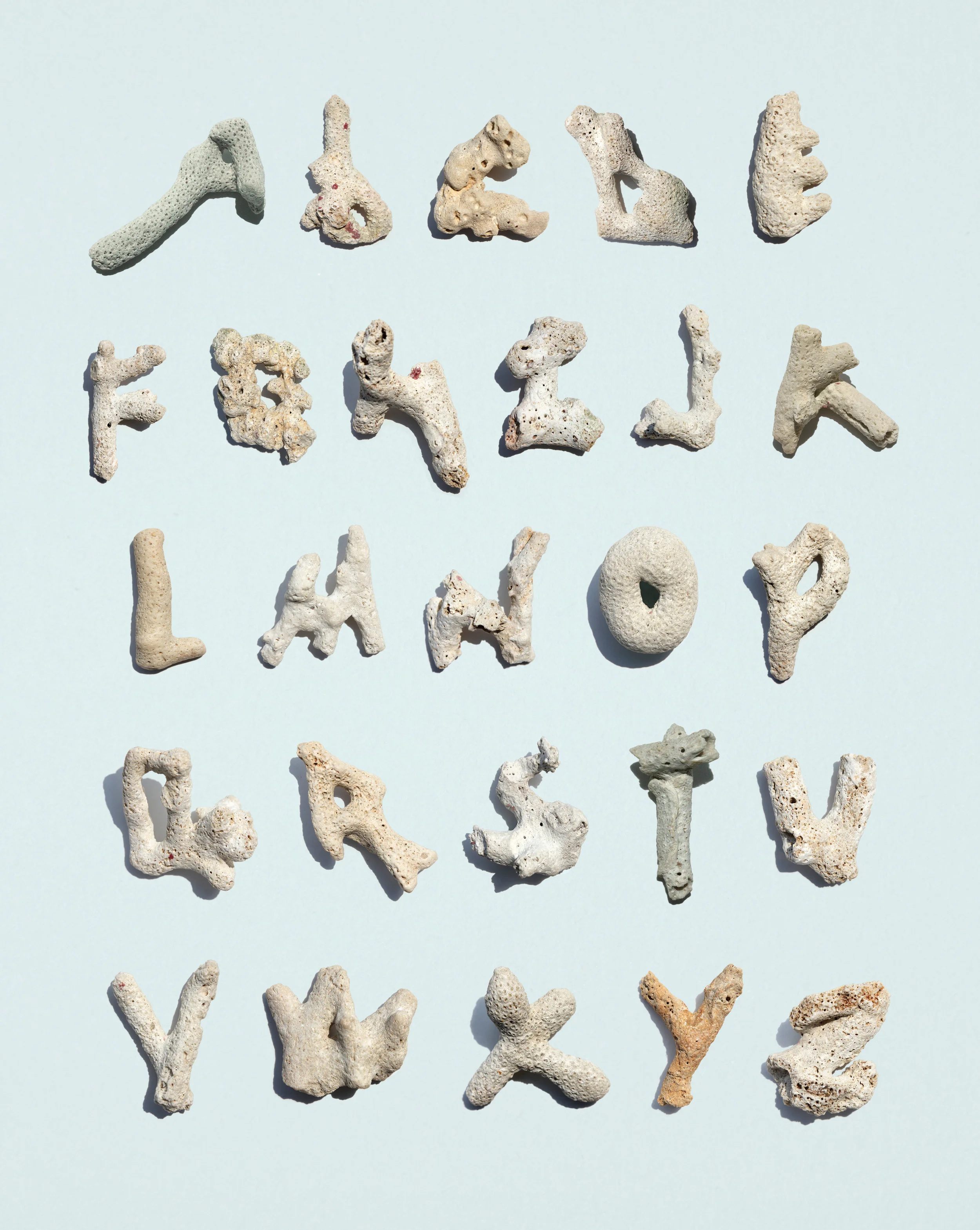 Coralphabet I