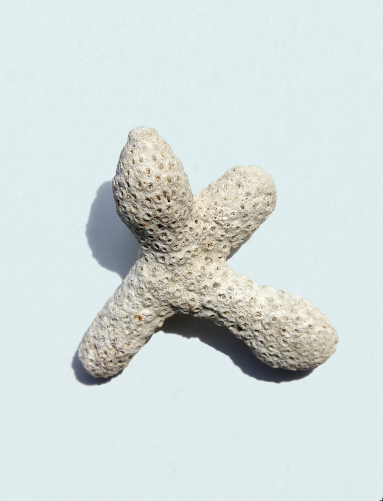 X (Detail)