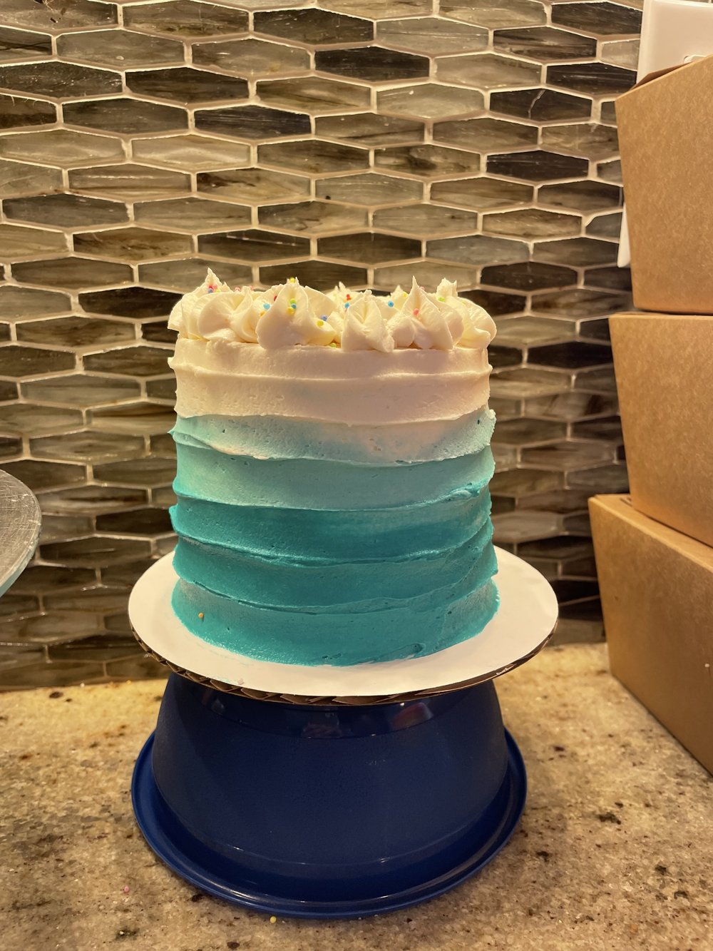 Baby Smash Cake (4-inch, 2-layers) - Yvonne's Vegan Kitchen