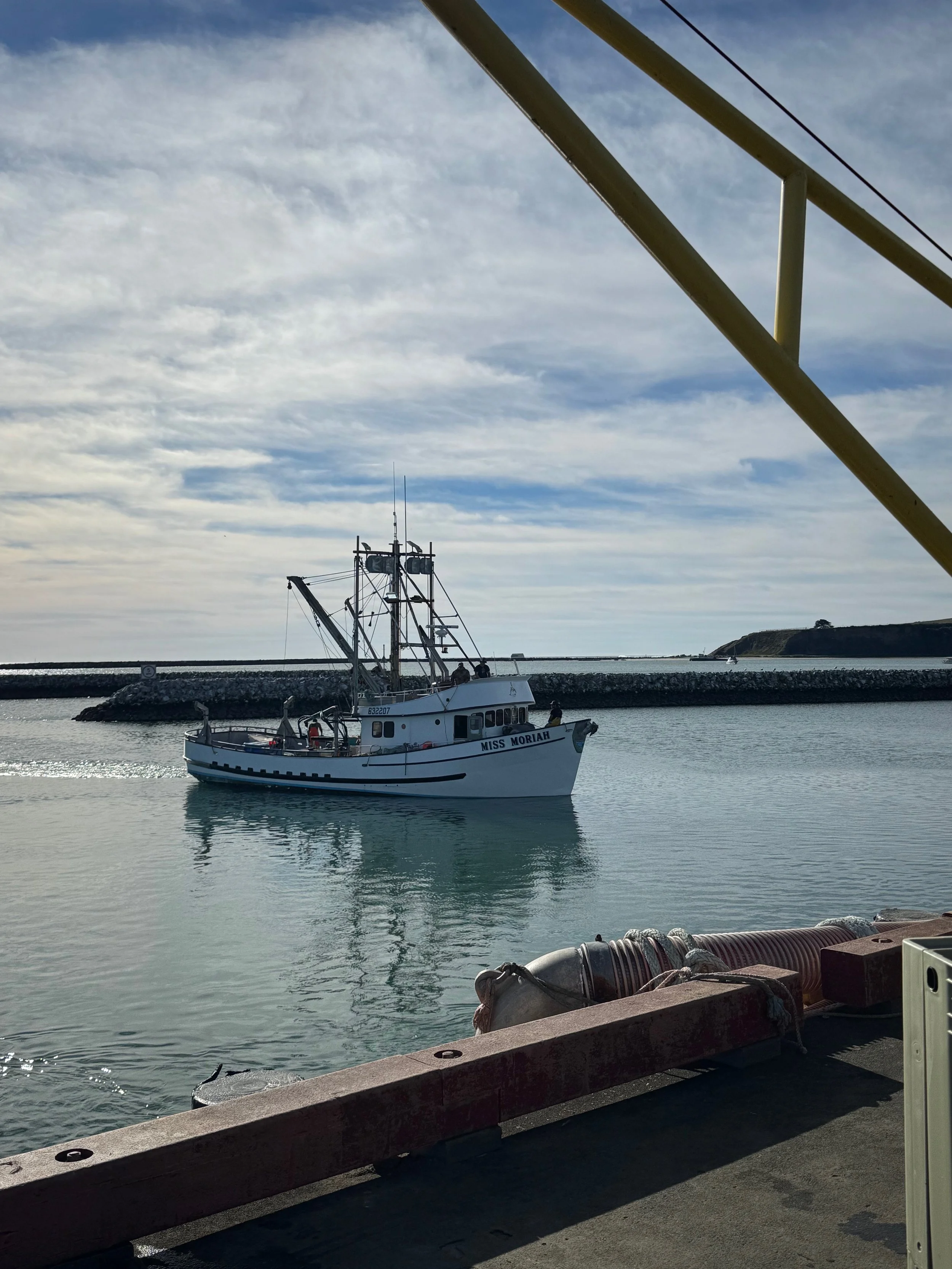 Library - 1 of 2.jpeg