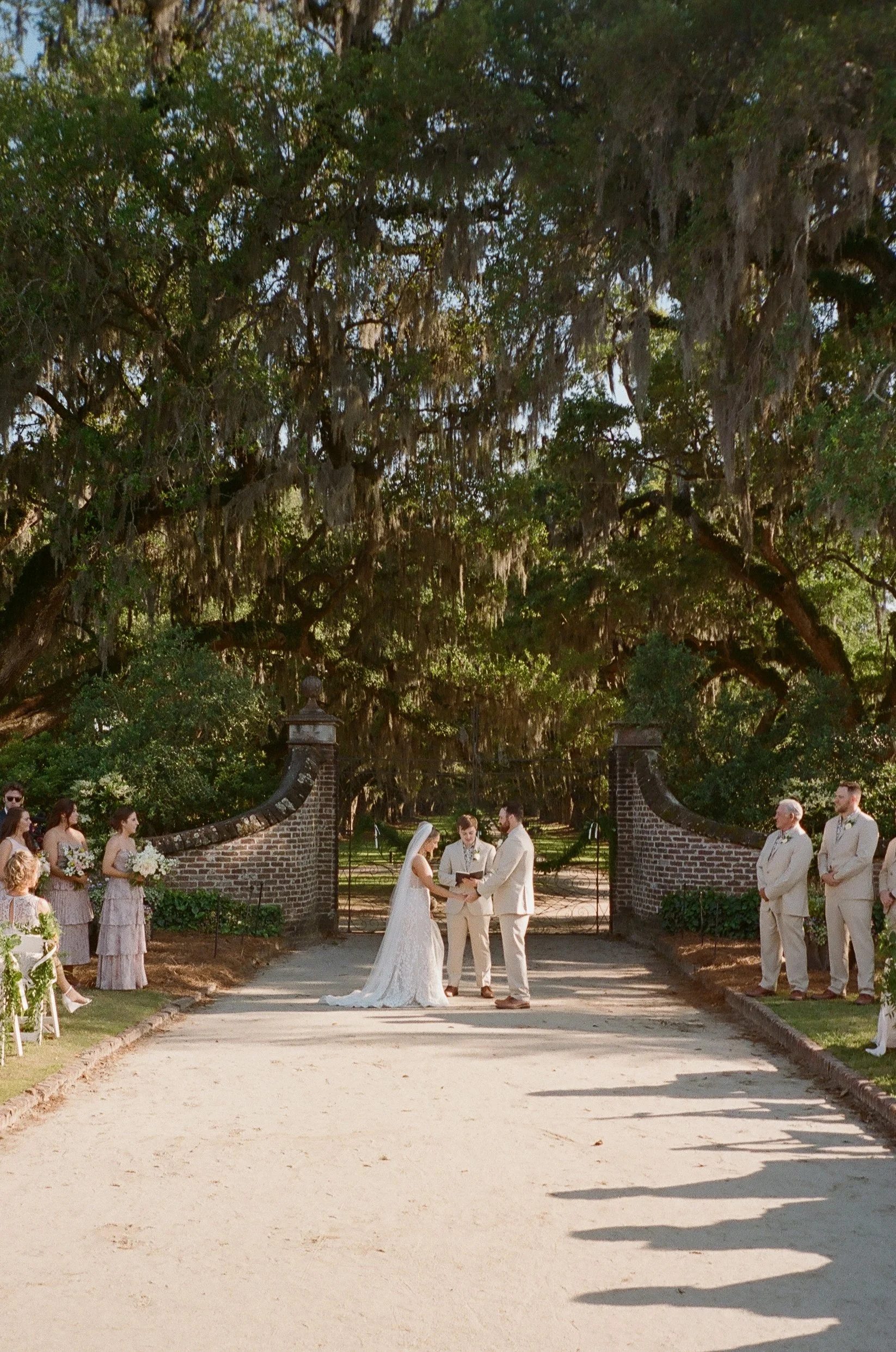 a wedding ceremony under live oaks covered in spanish moss