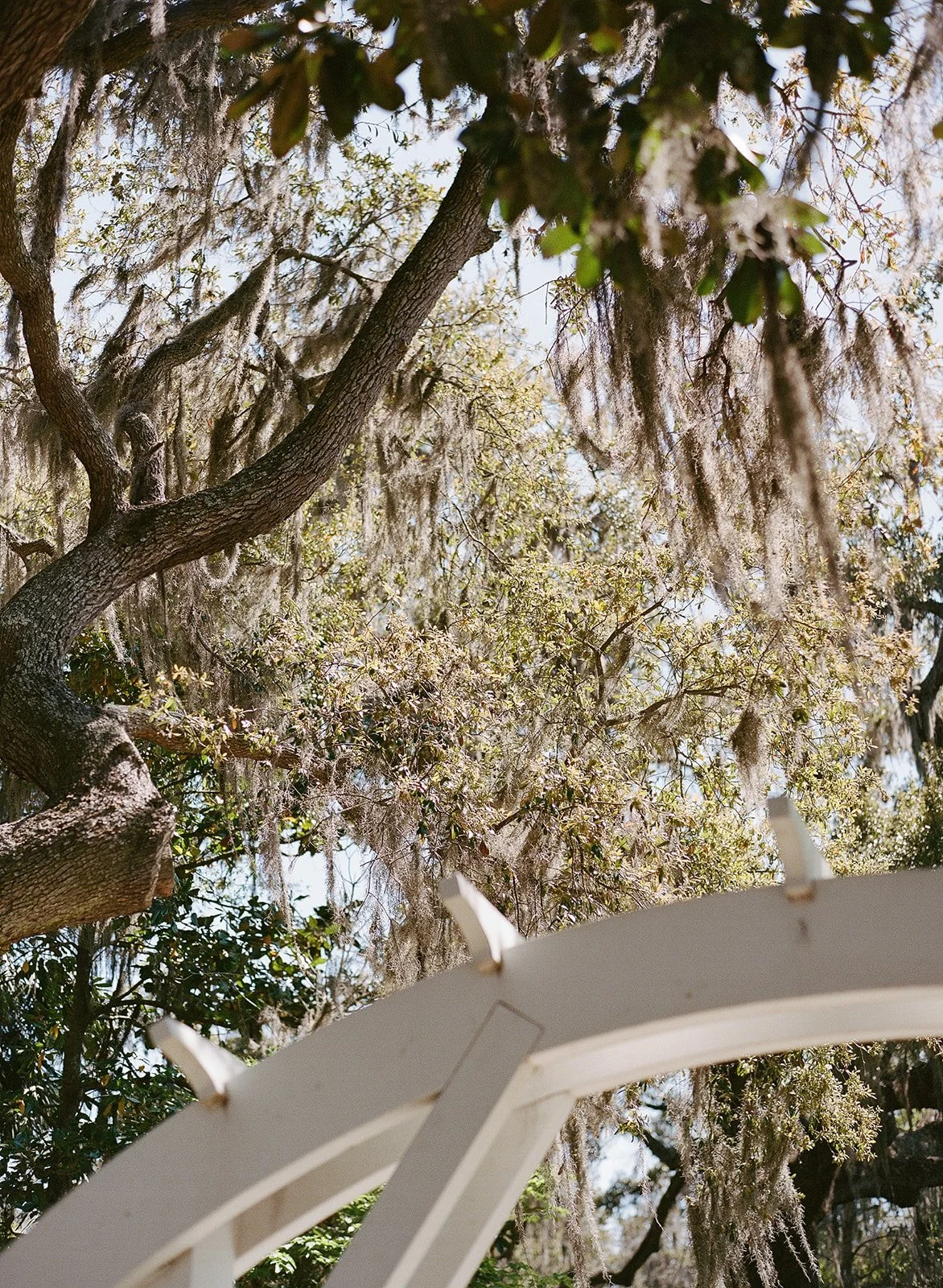 S&M_Selects (191 of 219).jpg