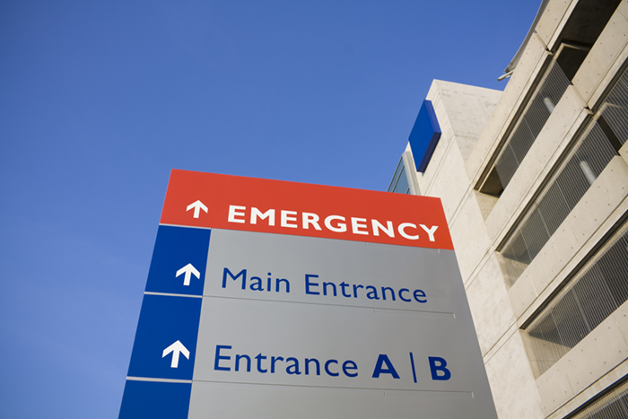 24 Hour Veterinary Emergency Hospitals 