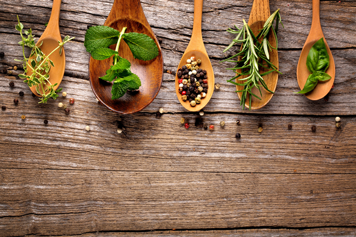 Veterinarians – Holistic Practitioners 