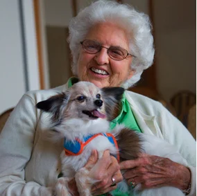 Good dog Evaluations-Larchmont
