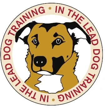 Dog Training in New Canaan with In the Lead
