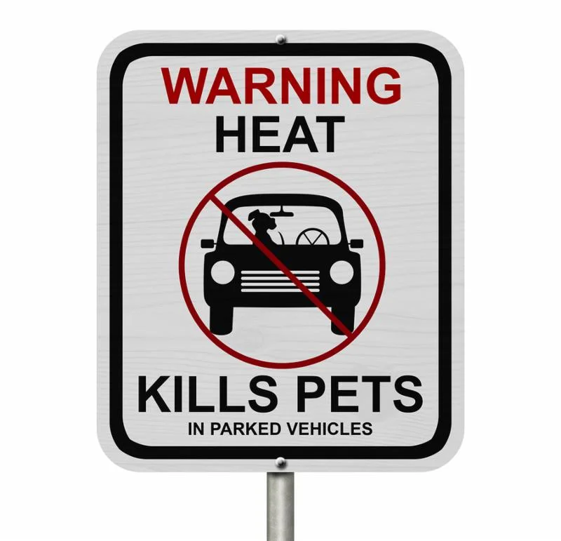 Hot Dogs and Summer Safety