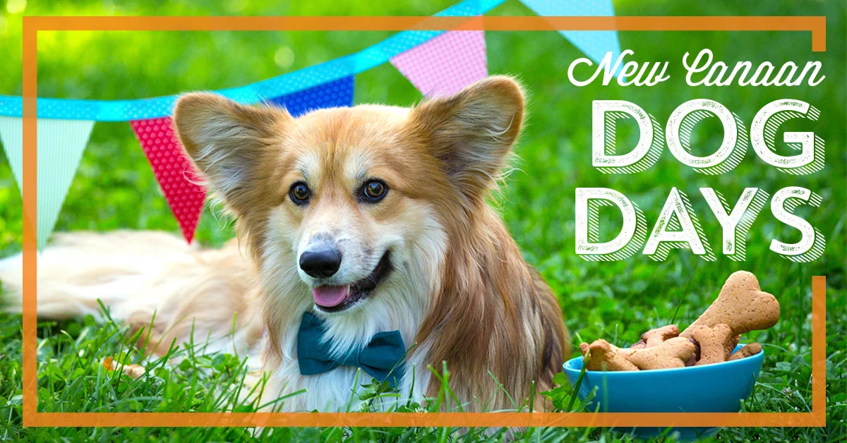 PPW_NCDogDays_FB (2).jpg