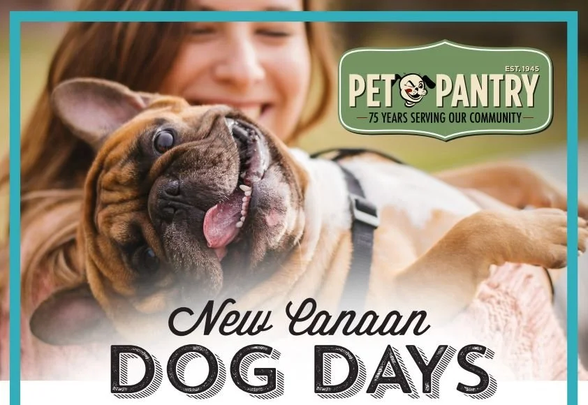 New Canaan Dog Days