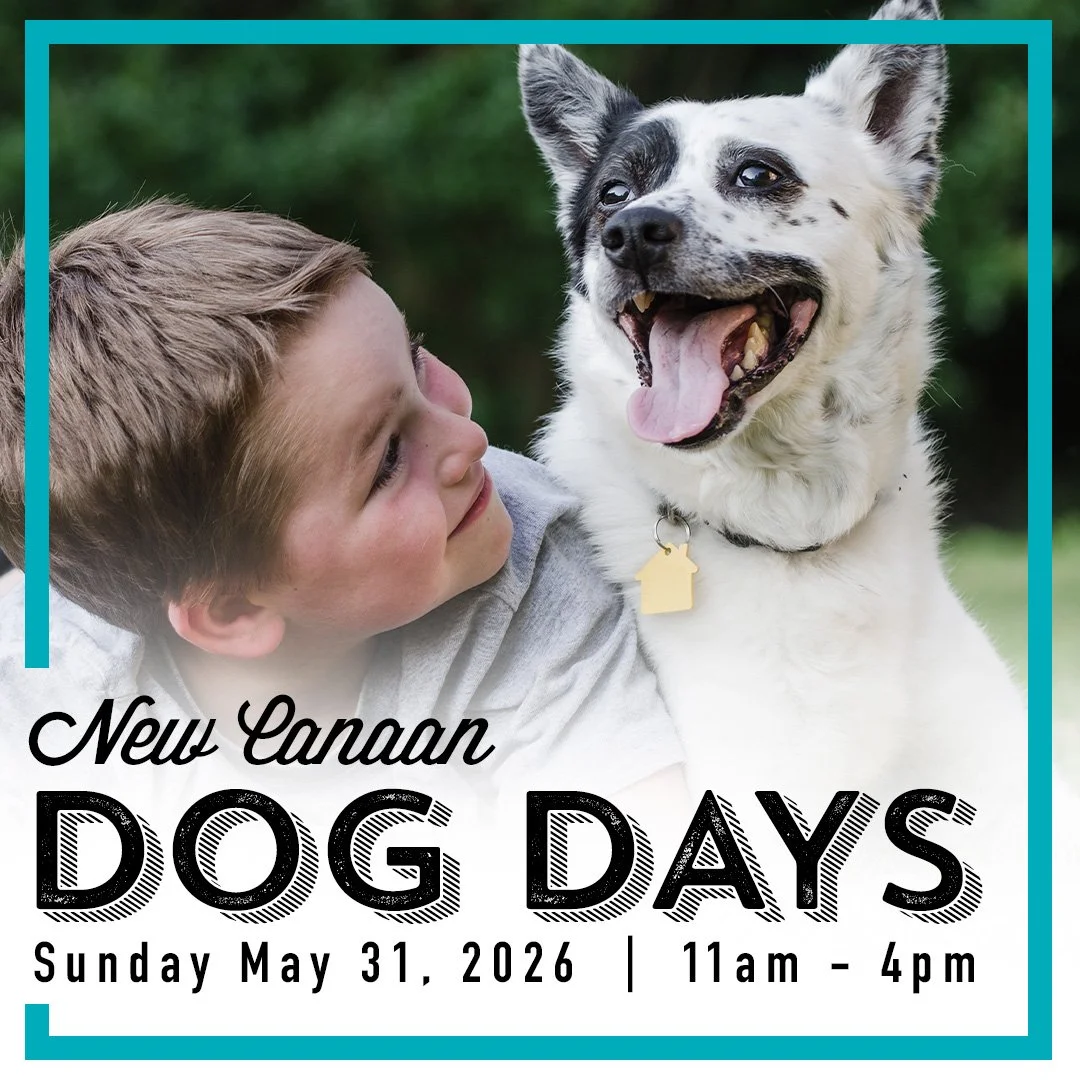 New Canaan Dog Days 2026