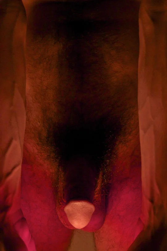 tumblr_mvcjkocamY1r41gp9o2_540.jpg