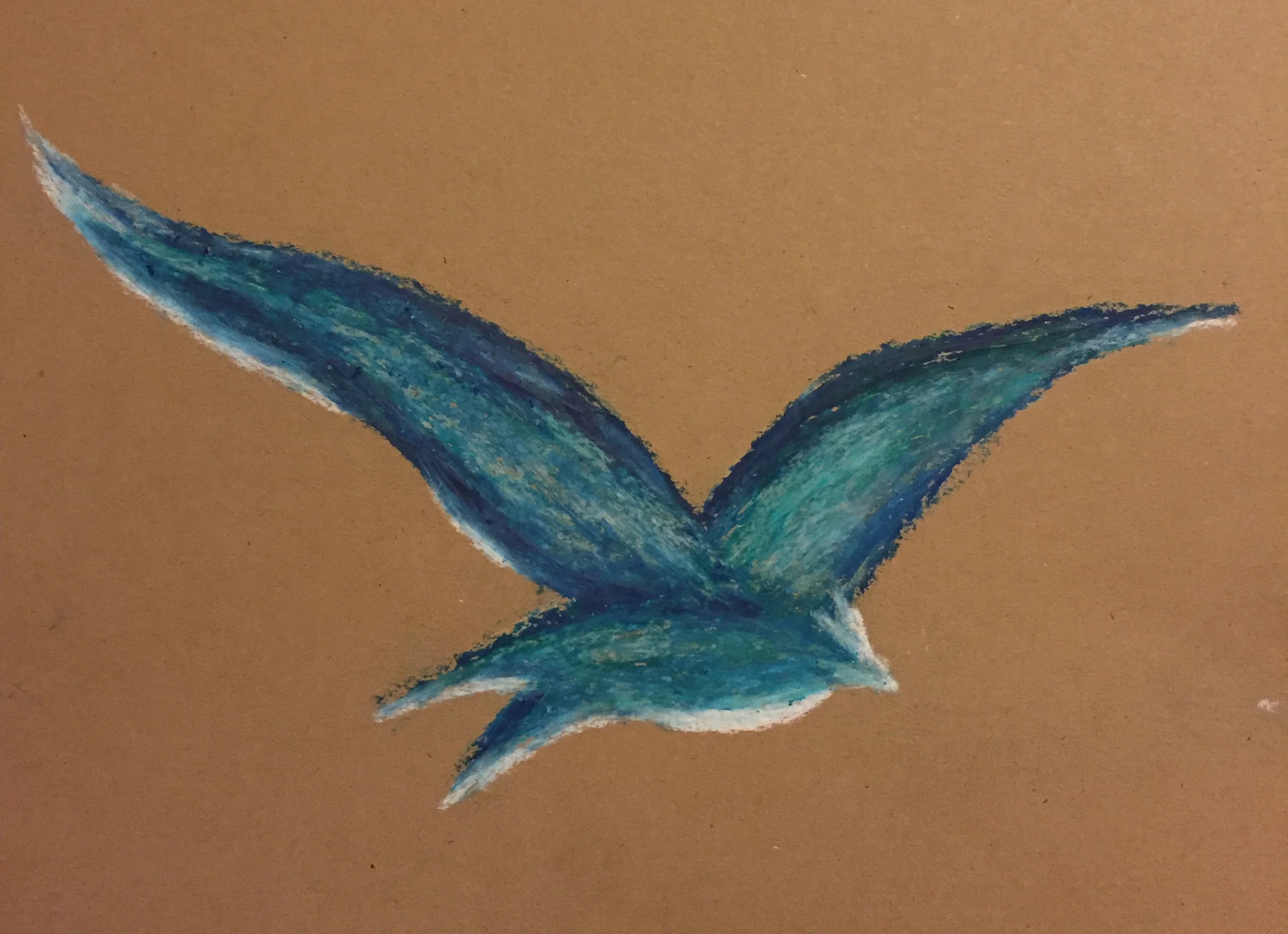 Blue bird.